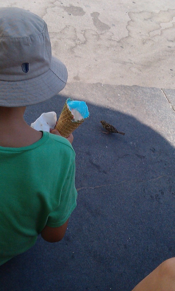 Kid feeding a little bird  by nami