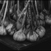 Garlic by dakotakid35