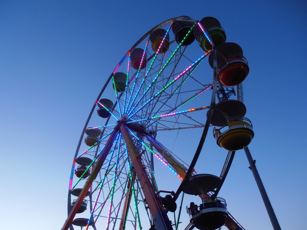 Ferris Wheel by julie