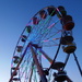 Ferris Wheel by julie