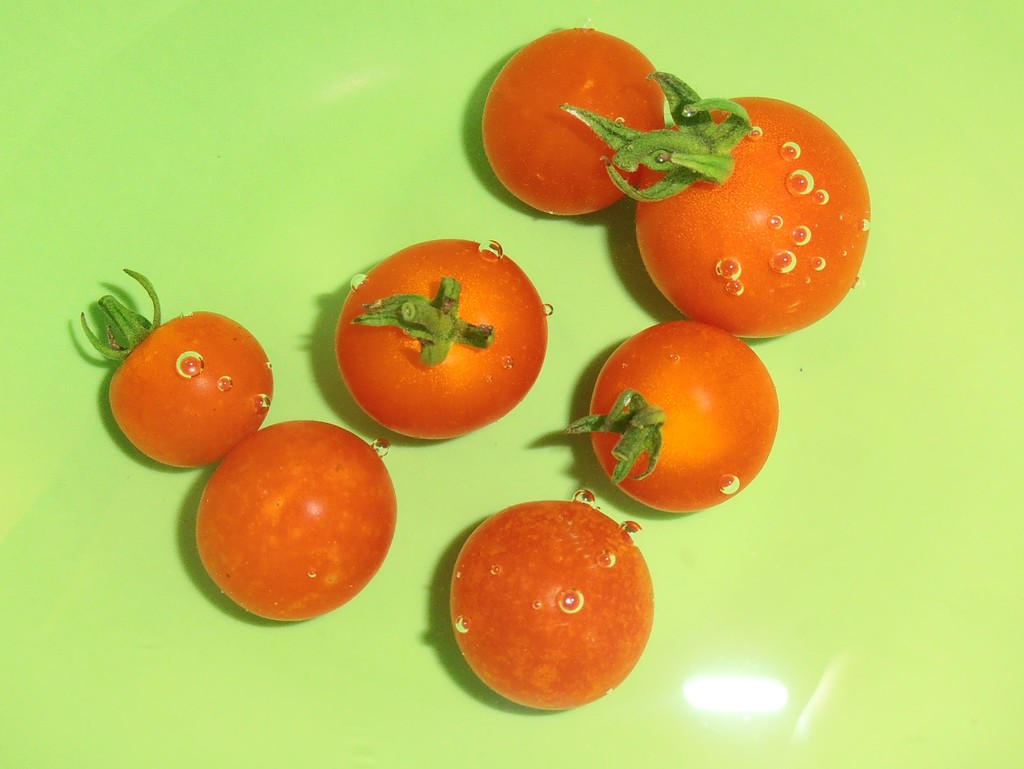 Cherry Tomatoes by julie