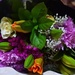 Flowers for my Friend.. by happysnaps