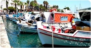 13th Aug 2015 - Fishing Boats In Kos Harbour 