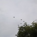 Formation of spitfires flying over my garden by plainjaneandnononsense