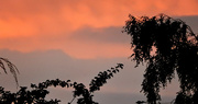 13th Aug 2015 - Red sky in the morning shepherds warning.... 
