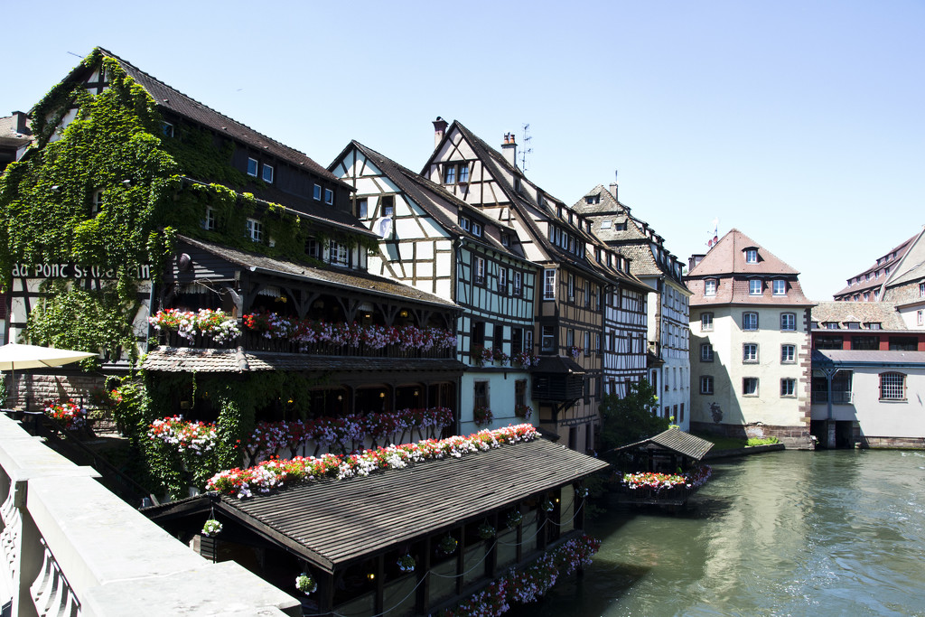 SAY IT WITH FLOWERS – STRASBOURG by sangwann