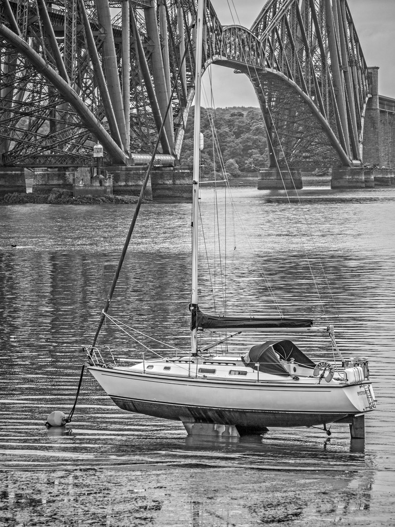 Yacht and Forth Bridge by frequentframes