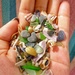 Beach jewels by cocobella