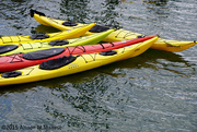 9th Aug 2015 - Kayaks