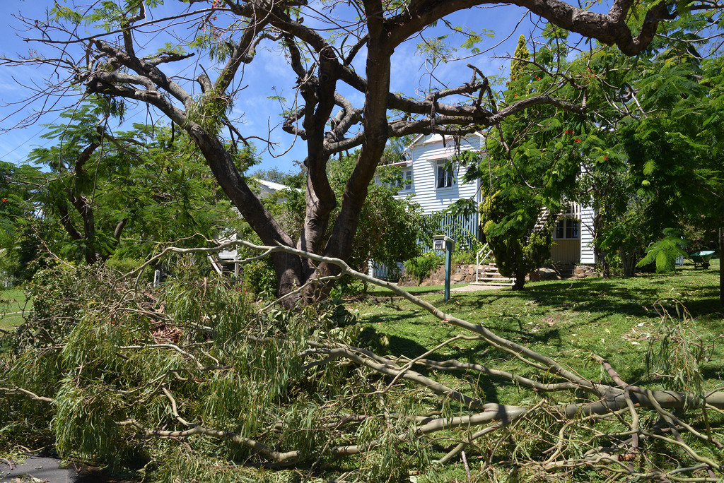 Cyclone aftermath, Rockhampton by jeneurell