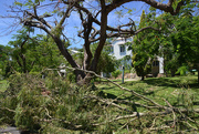 21st Feb 2015 - Cyclone aftermath, Rockhampton