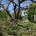 Cyclone aftermath, Rockhampton by jeneurell