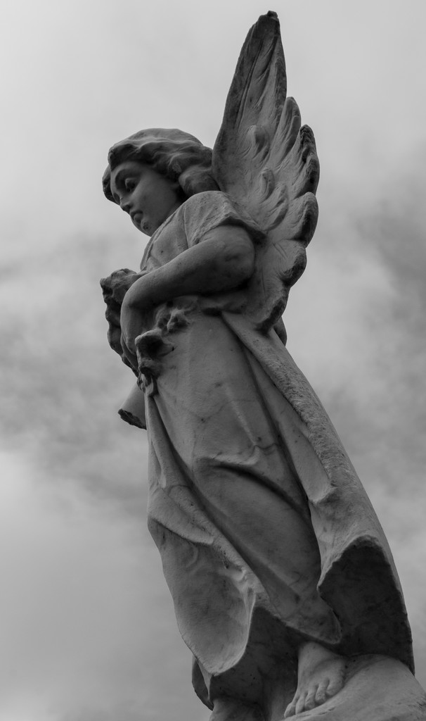Angel by brigette