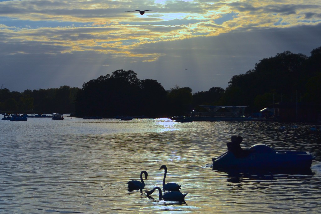 The Serpentine by tomdoel