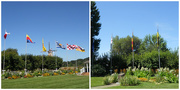 6th Aug 2015 - Flags at Windmill Island Gardens