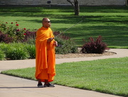 16th Aug 2015 - Monk with Selfie Stick