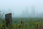 15th Aug 2015 - early morning fog