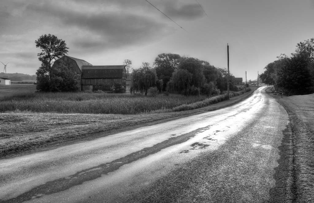 Summer Country Road by pdulis