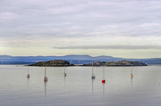 16th Aug 2015 - Yachts and Inchcolm Abbey