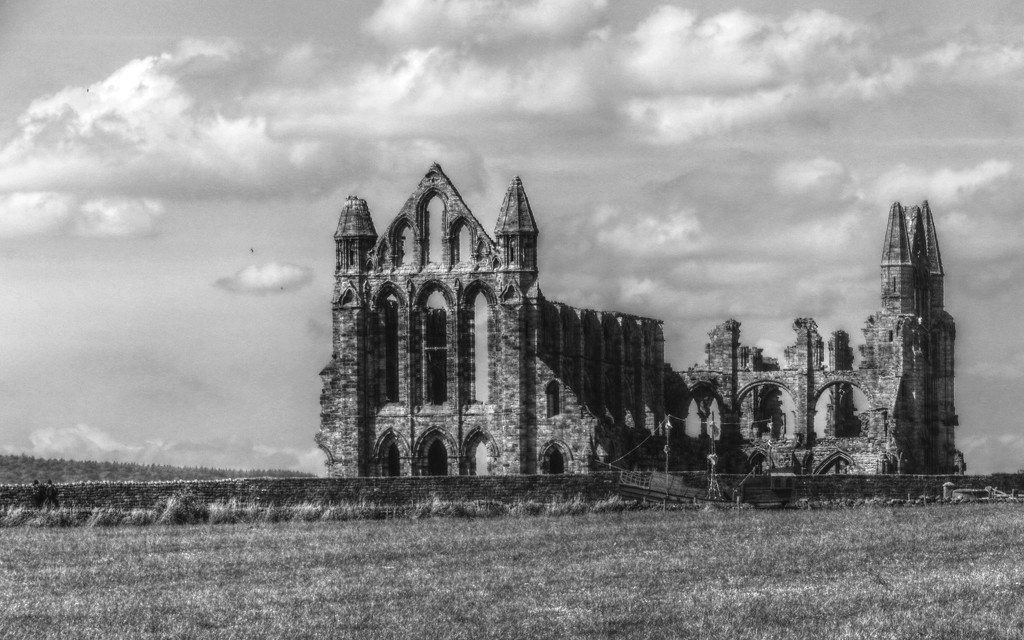Whitby Abbey by shannejw