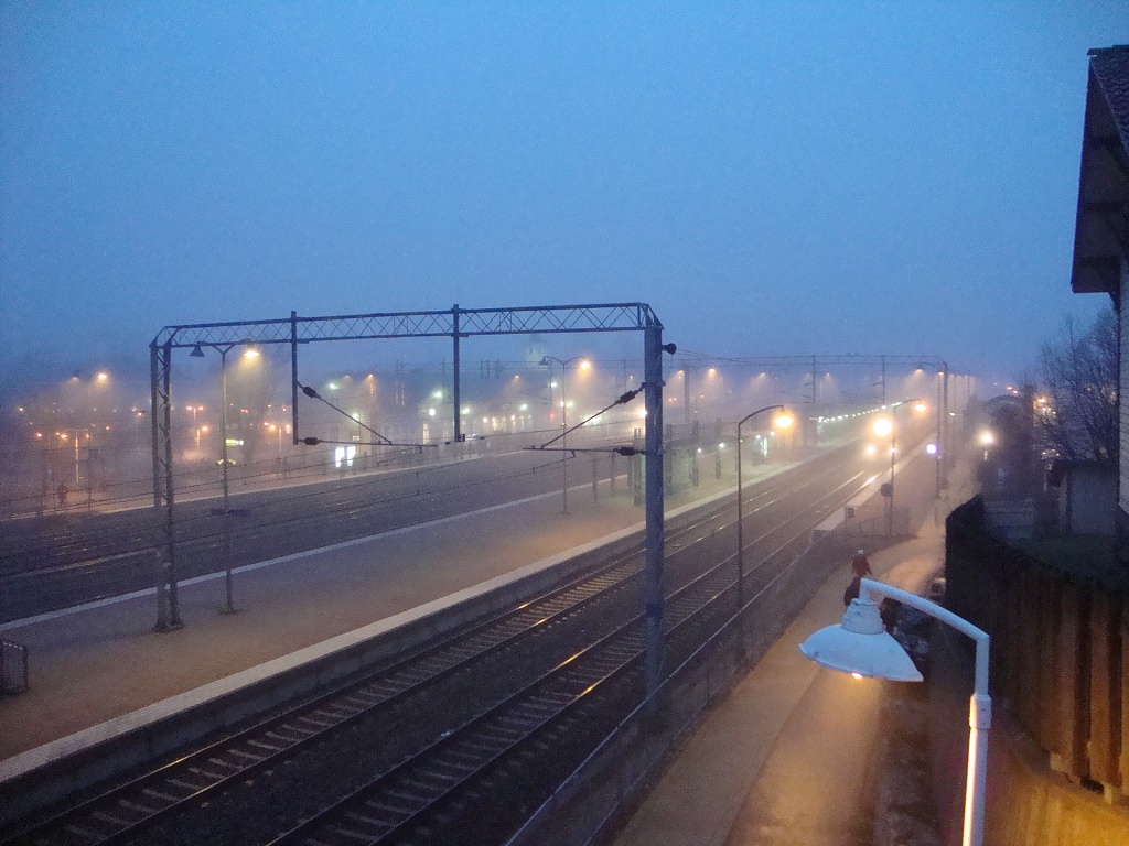 365-Foggy morning DSC06001 by annelis