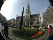 13th Aug 2009 - Grand Place Brussels - Flowertime