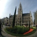 Grand Place Brussels - Flowertime by bizziebeeme