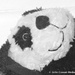 A smiling Panda by motorsports