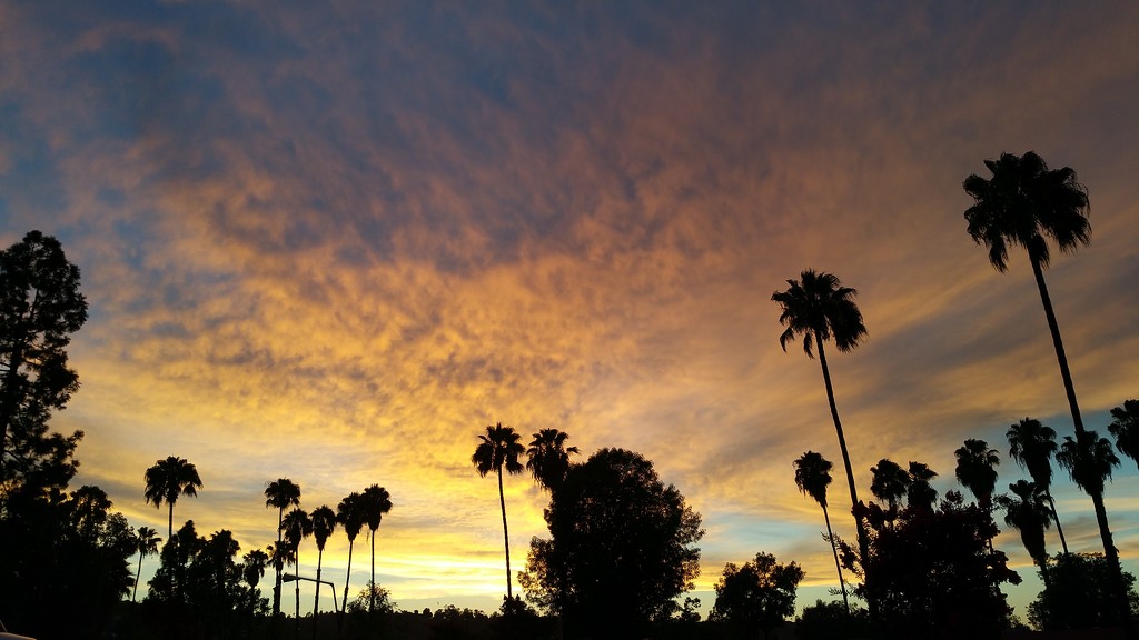 San Diego Sunset by mariaostrowski