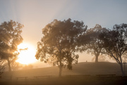 17th Aug 2015 - Sunrise