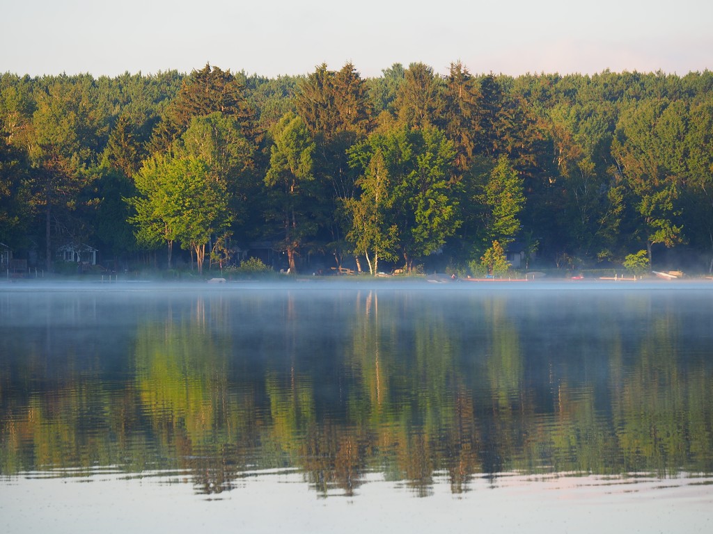Morning Mist by selkie