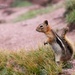 Got nuts? by lynne5477