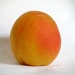 Fruit Mimics Sun by grammyn