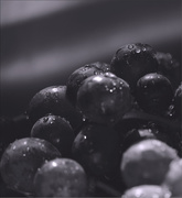 18th Aug 2015 - grapes