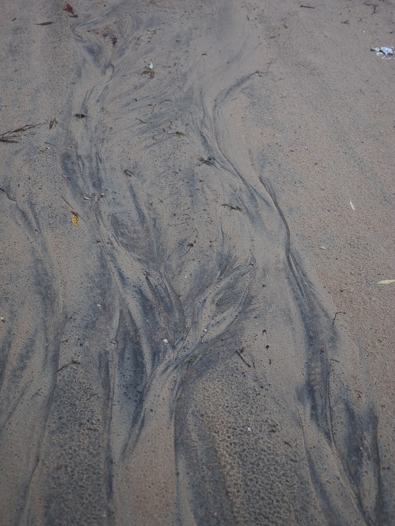 Sand Patterns After the Rain by selkie