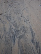 14th Aug 2015 - Sand Patterns After the Rain