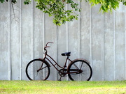 18th Aug 2015 - Abandoned barn, rusty bike