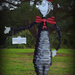 The Cat in the Hat by dide