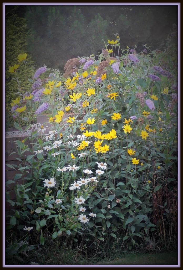 A mingle of flowers ! -- by beryl