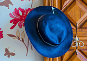19th Aug 2015 - 225 - Blue Hat
