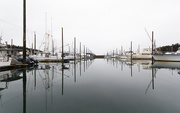 11th Aug 2015 - Hoonah Harbour