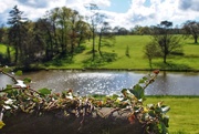 4th May 2015 - An English Country Park