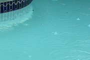 16th Aug 2015 - Raindrops in the pool