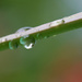 A droplet up and one under by ingrid01
