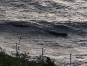 20th Aug 2015 - Big Waves, Big Log