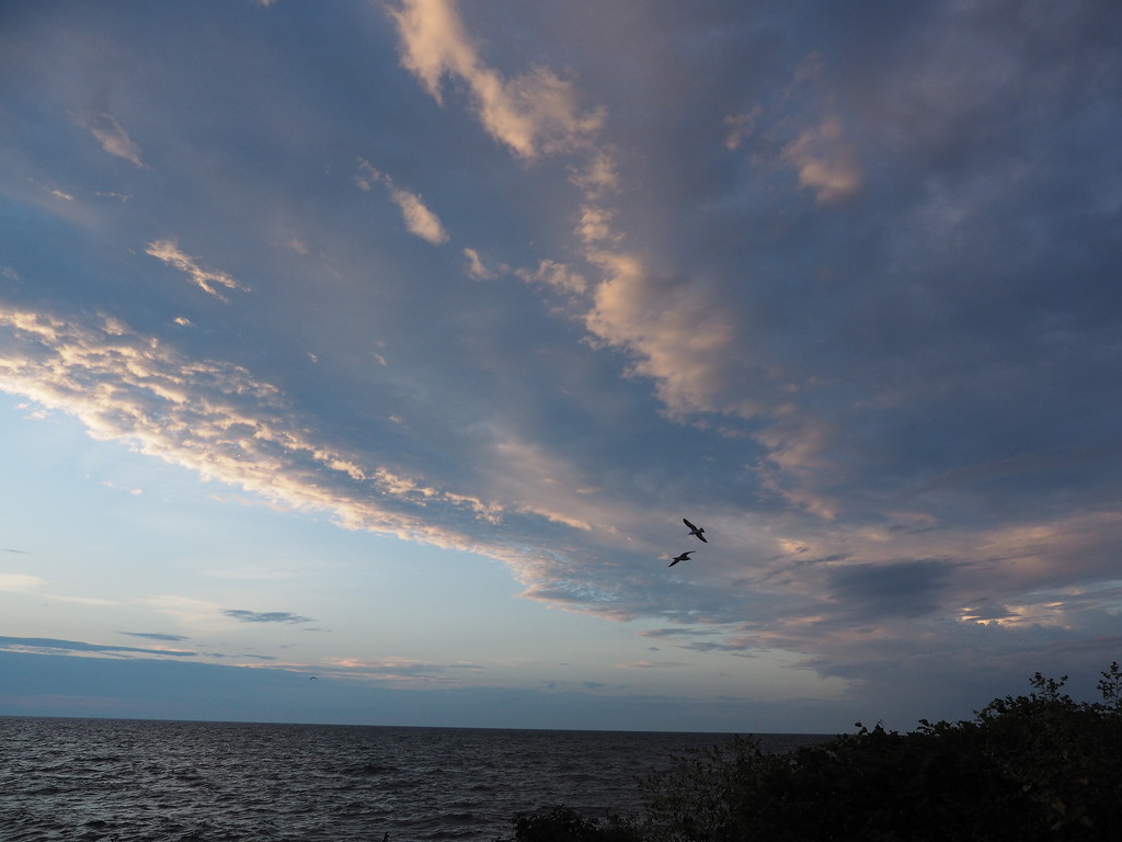 Great Clouds 1 by selkie