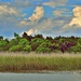 Marsh Island by soboy5