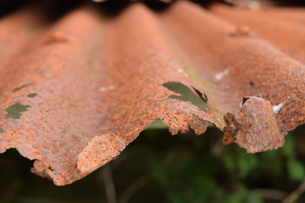 rusty tin by christophercox