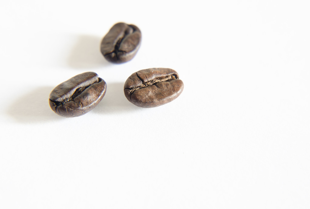 Coffee Beans by salza