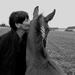 The foal is a sweetheart by parisouailleurs
